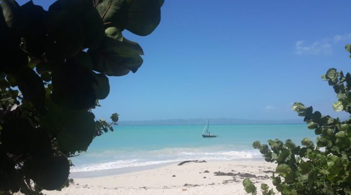 Paysage Ile à Vaches Haïti