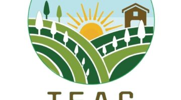 Terrain expérimental en agroforesterie syntropique