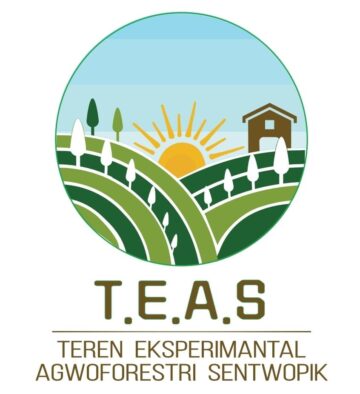Terrain expérimental en agroforesterie syntropique