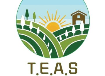 Terrain expérimental en agroforesterie syntropique