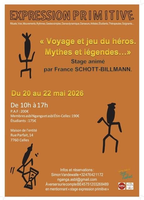 Affiche stage DRT